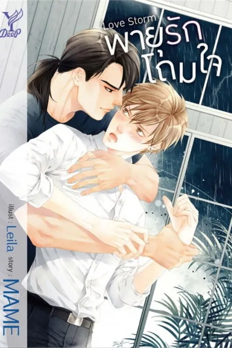 Love Storm พายุรักโถมใจ — MAME